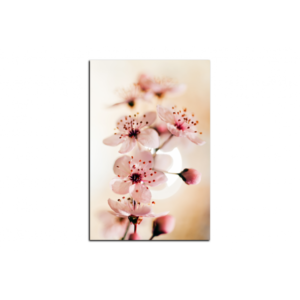 Obraz na plátně - Malé květy na větvi - obdélník